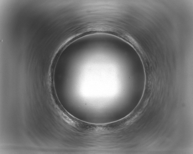 X0000068730787200605051458