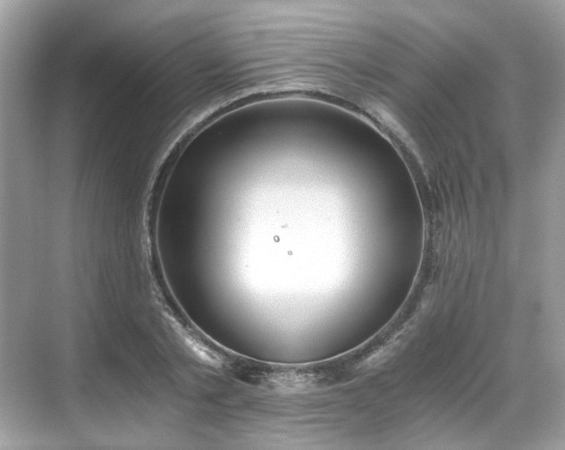 X0000068730789200605051458