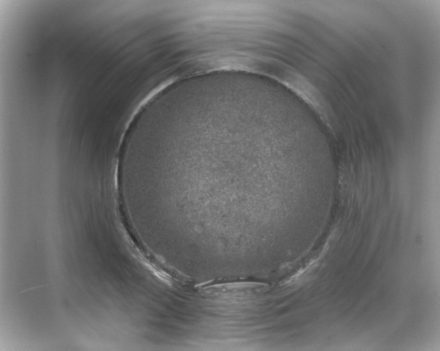 X0000068730790200605051458