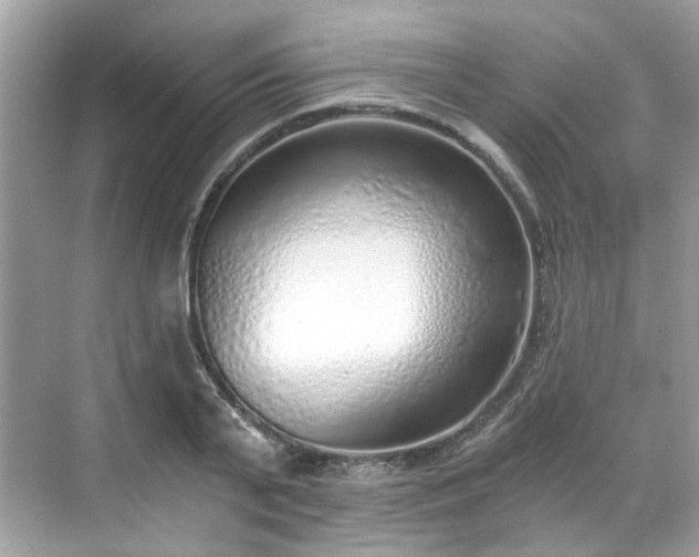 X0000068730791200605051457