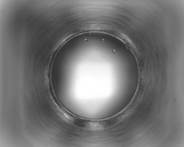 X0000068730794200605051457