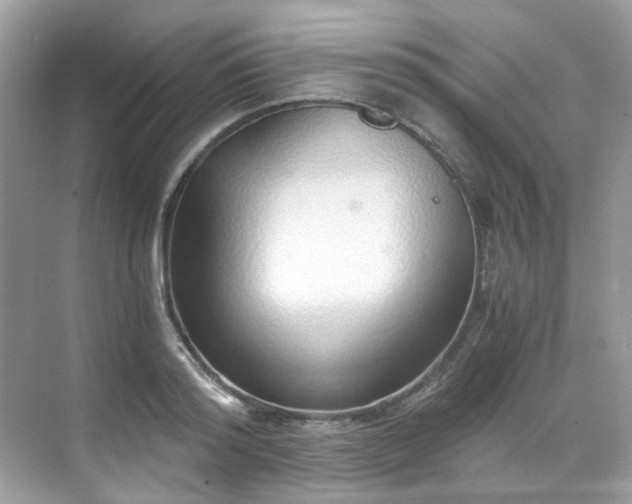 X0000068730796200605051457