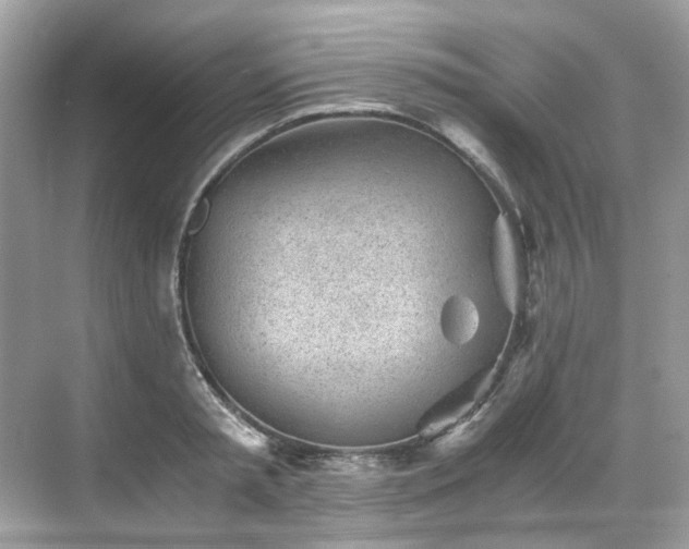 X0000068730797200605051457