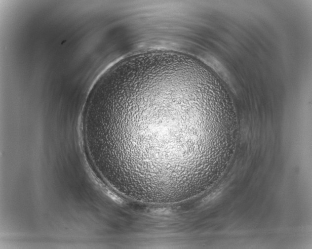 X0000068730798200605051457