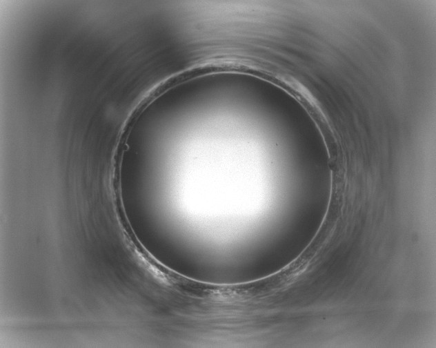 X0000068730799200605051457