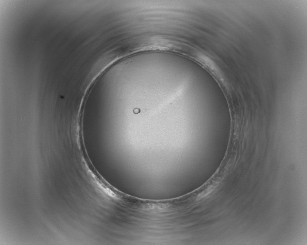 X0000068730802200605051457