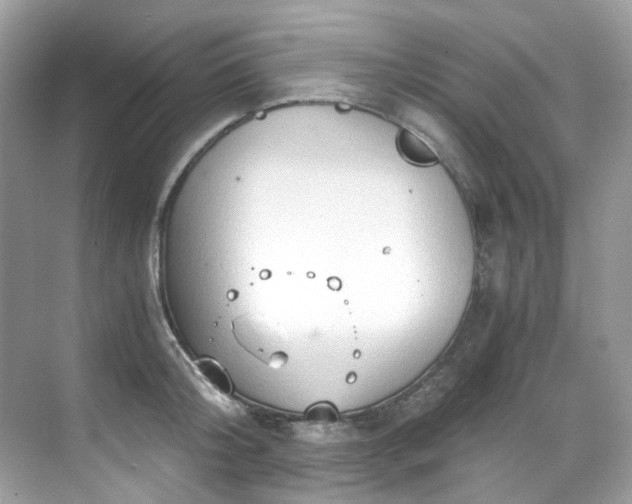 X0000068730804200605051457