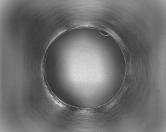 X0000068730806200605051457