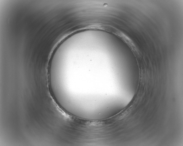 X0000068730808200605051457