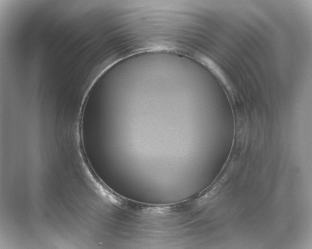 X0000068730810200605051457