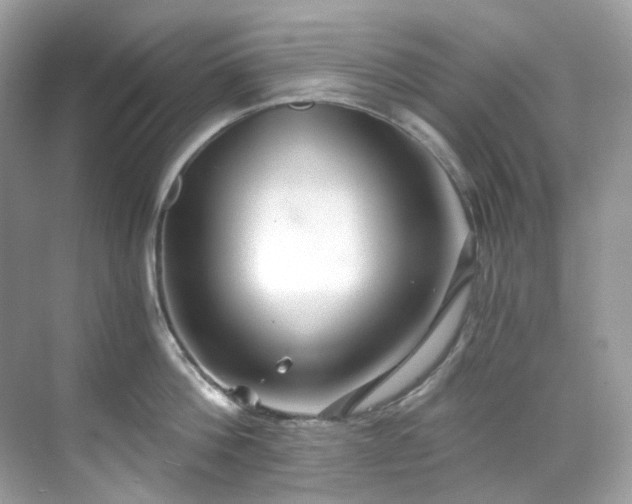 X0000068730812200605051457