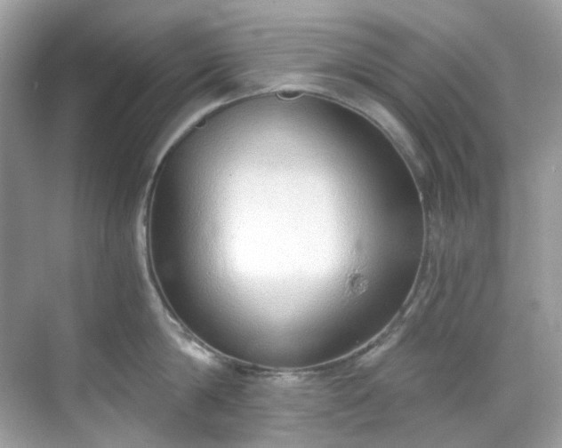 X0000068730814200605051457