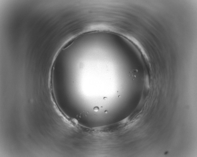 X0000068730815200605051457