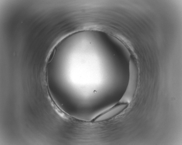 X0000068730816200605051457