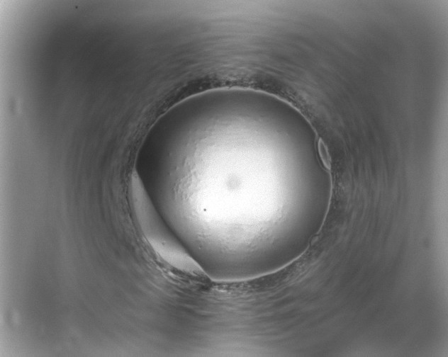 X0000068730817200605051456