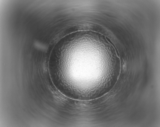 X0000068730819200605051456