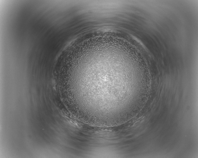 X0000068730823200605051456