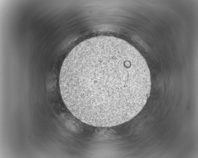 X0000068730824200605051456