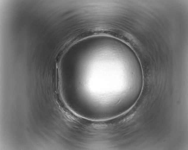 X0000068730825200605051456