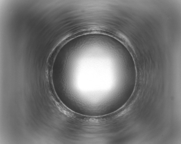 X0000068730827200605051456