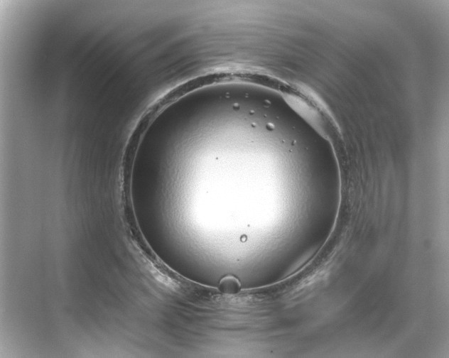 X0000068730831200605051456