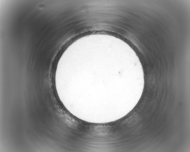 X0000068730832200605051457