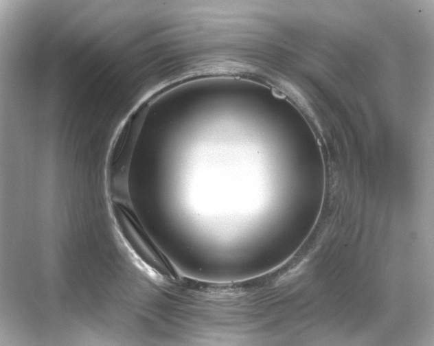 X0000068730843200605051457