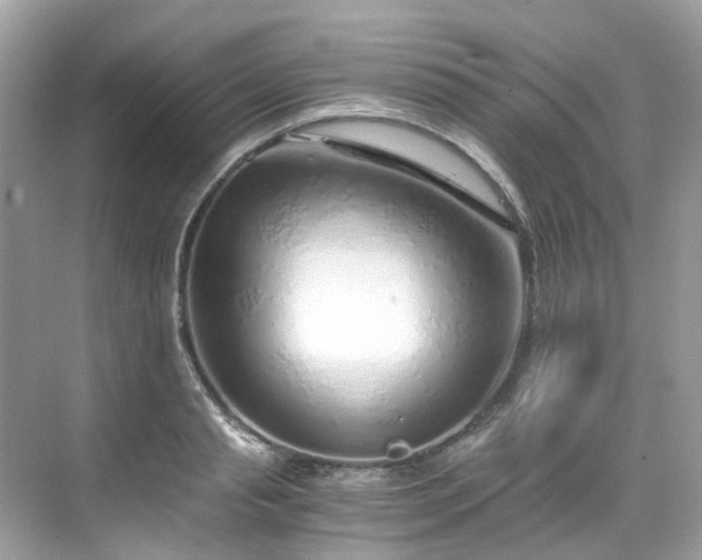 X0000068730845200605051457