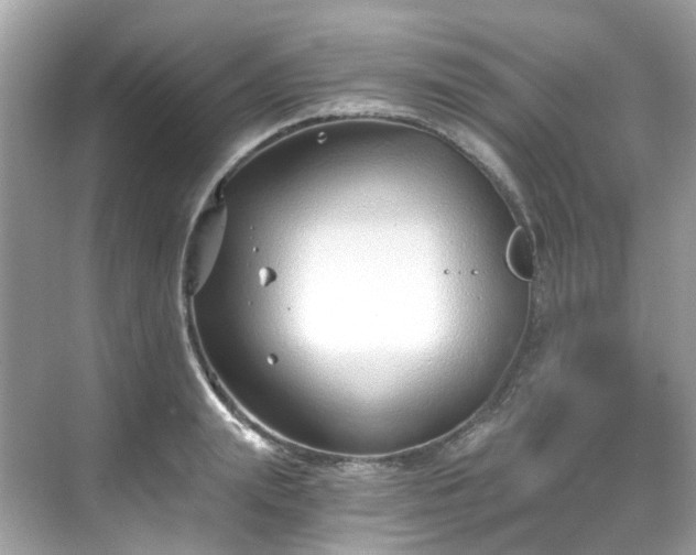 X0000068730847200605051457