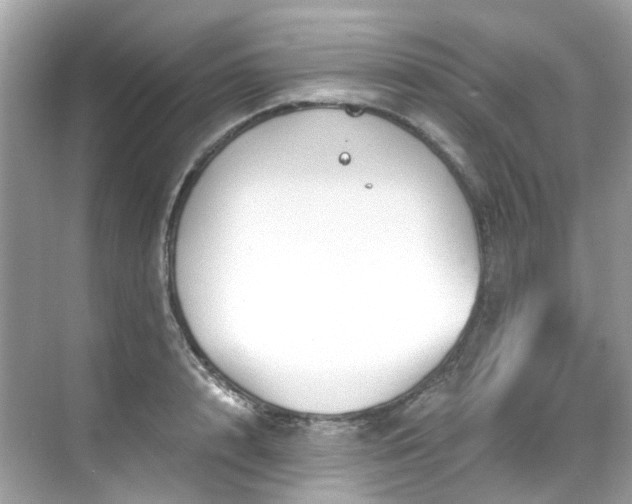 X0000068730848200605051457