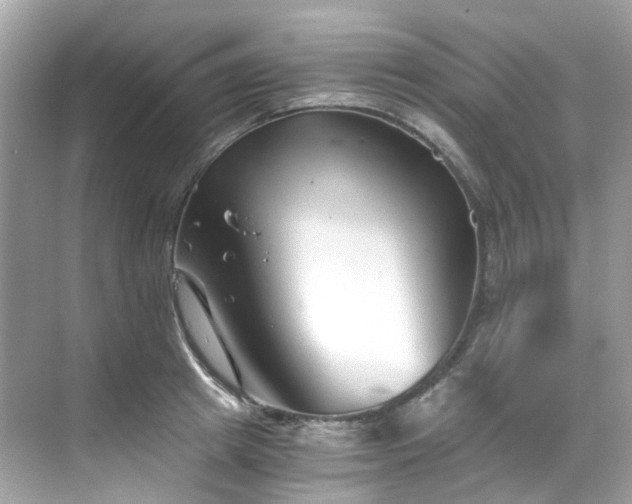 X0000068730849200605051457