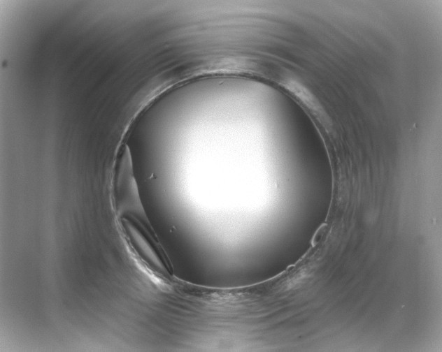 X0000068730850200605051457