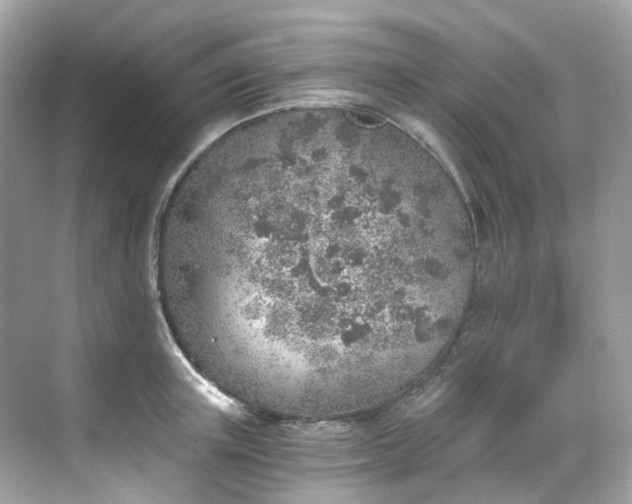 X0000068730851200605051457