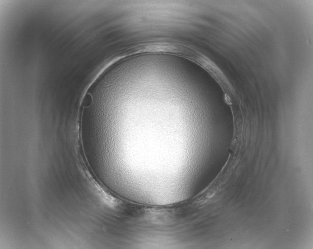 X0000068730852200605051457