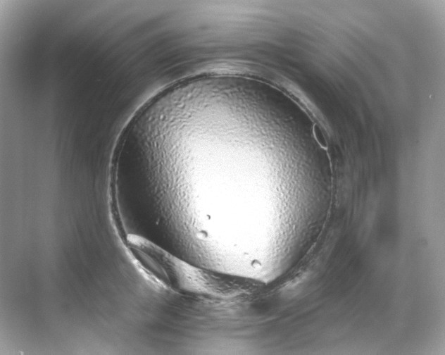 X0000068730853200605051457