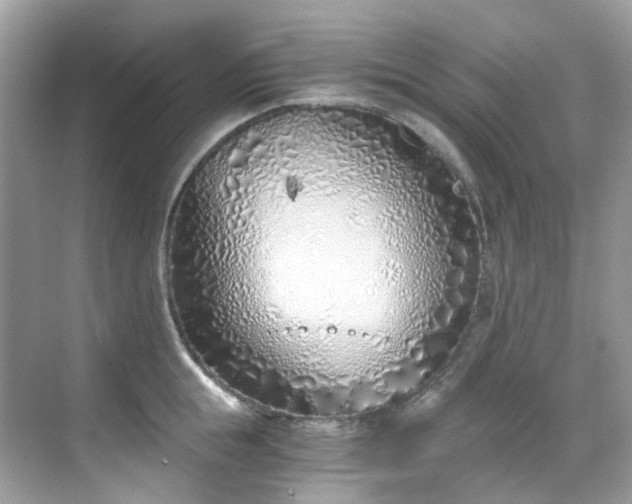 X0000068730855200605051457