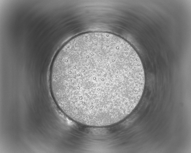 X0000068730856200605051457