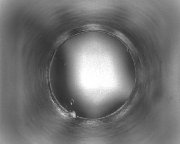 X0000068730857200605051457