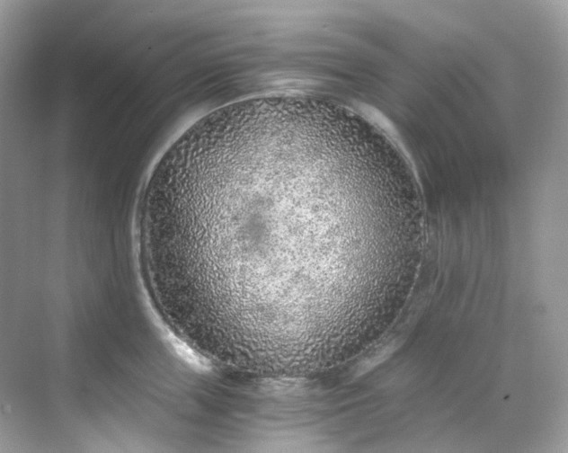 X0000068730859200605051457