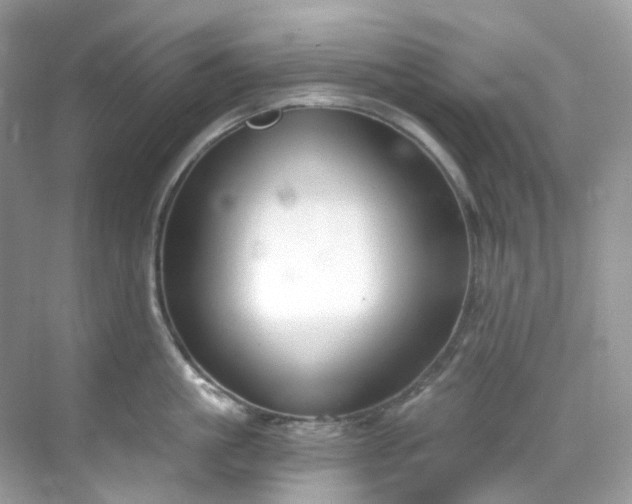 X0000068730861200605051457