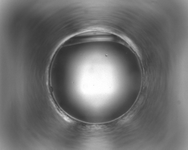 X0000068730862200605051457