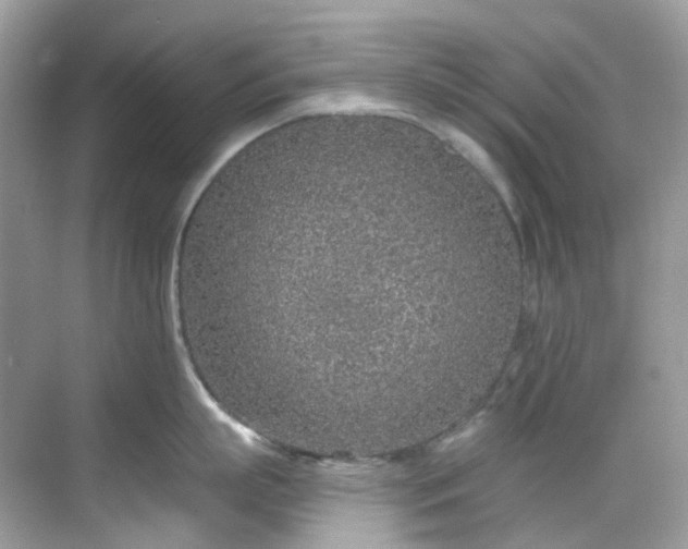 X0000068730863200605051457