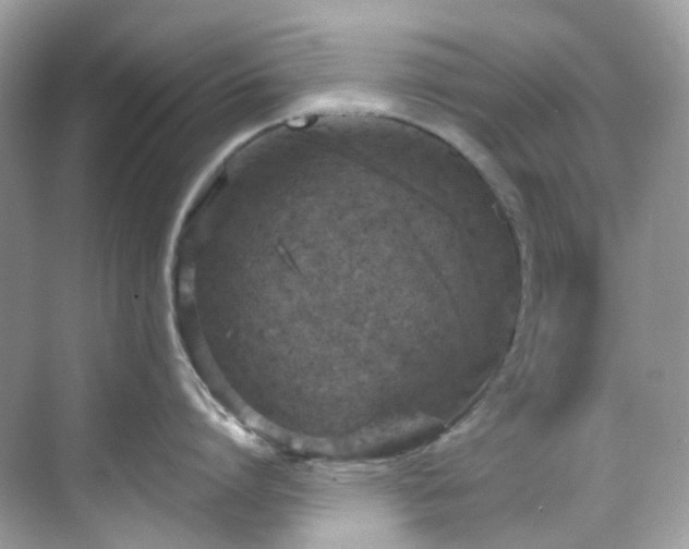 X0000068730864200605051457