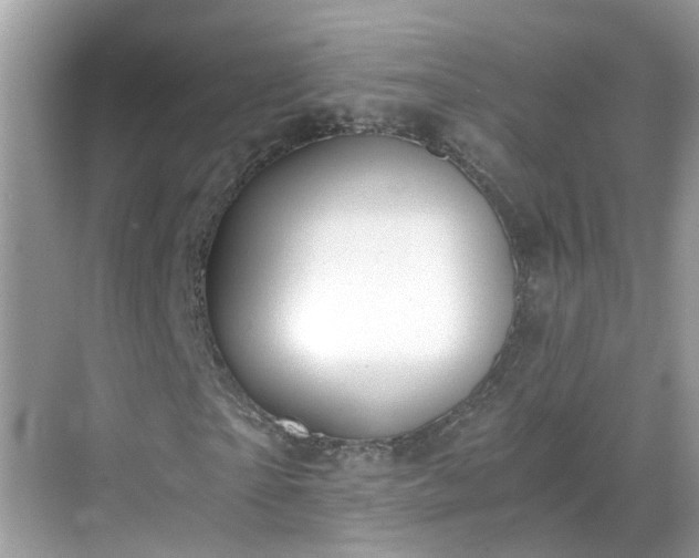 X0000068730865200605051456