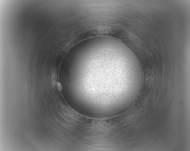 X0000068730866200605051456