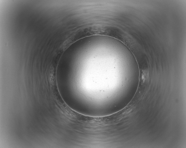 X0000068730867200605051456