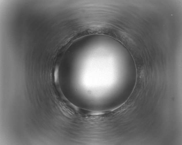 X0000068730868200605051456