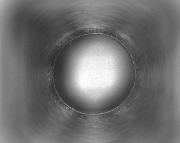 X0000068730870200605051456