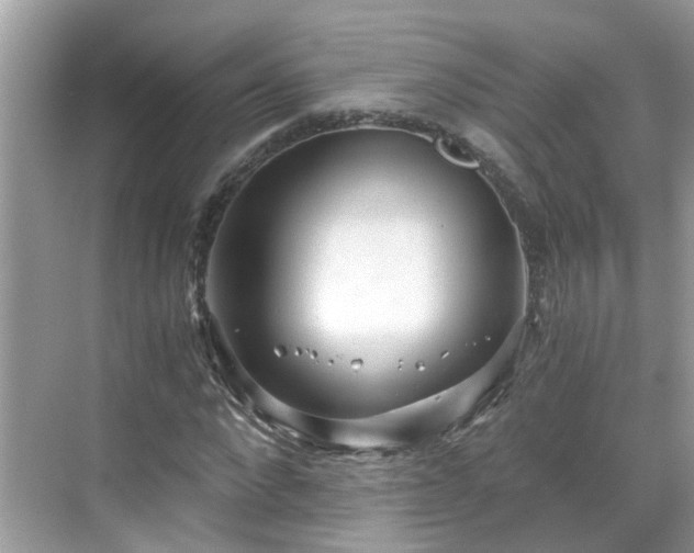 X0000068730872200605051456