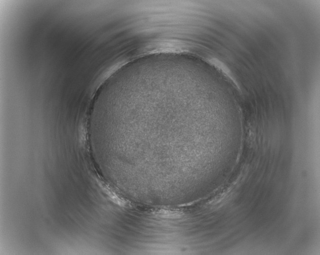 X0000068730874200605051456